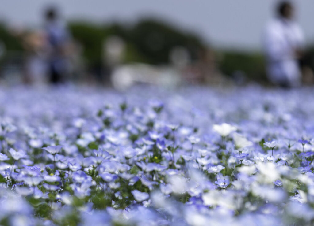 新たにブログを開設しました。